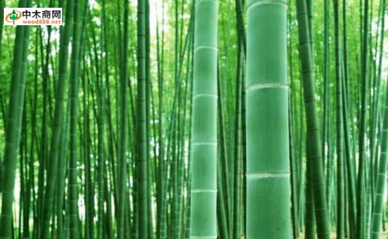竹材