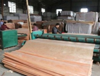 国际木材市场观察：中国木材买家积极采购奥古曼原木