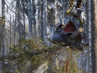 俄罗斯西伯利亚：冬季伐木忙