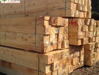 如何区分呢木材常被统分为软材和硬材
