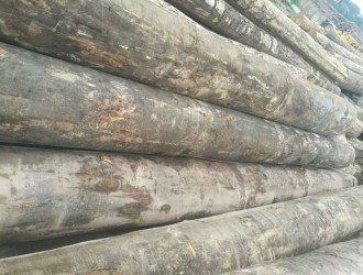 厂家直销优质沙比利原木可挑可通货认准上海达显进出口有限公司