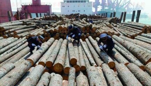 福州口岸2016年度进口木材首超3万立方