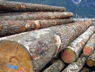 深度分析：加拿大BC原木出口政策及贸易壁垒