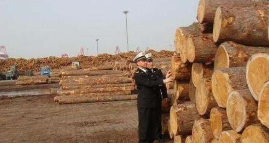  大连大窑湾保税港区内成立“进口木材交易中心”