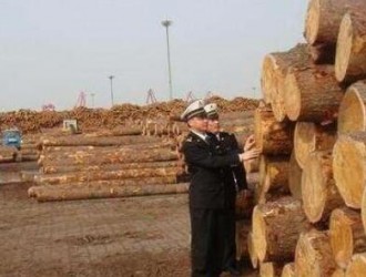 大连大窑湾保税港区内成立“进口木材交易中心”