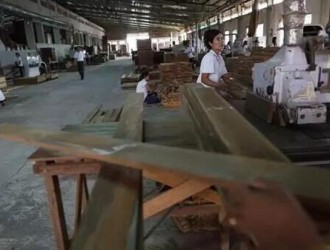 缅甸将恢复木材生产，生产目标预计达27万吨