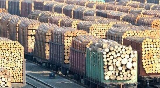 内蒙古去年进口俄罗斯木材千万立方米 超西湖蓄水量