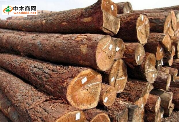 欧盟期待乌克兰取消木材暂停出口禁令