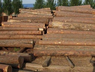 木材商谨防受骗--谎称低价出售木材 诈骗定金147万元