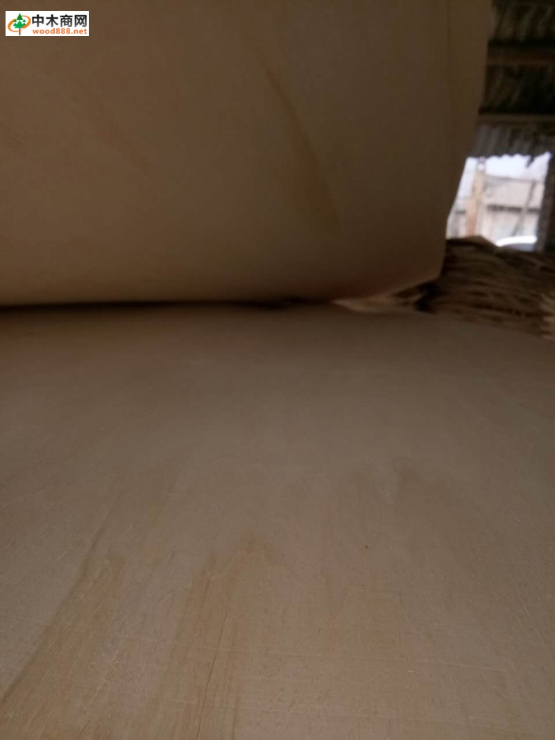 江苏徐州海红木业专业生产出售杨木三拼单板夹芯板