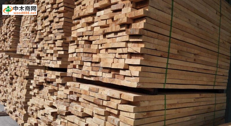 俄罗斯桦木板材价格行情