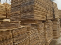 湖北信誉木业长期大量出售杨木板皮