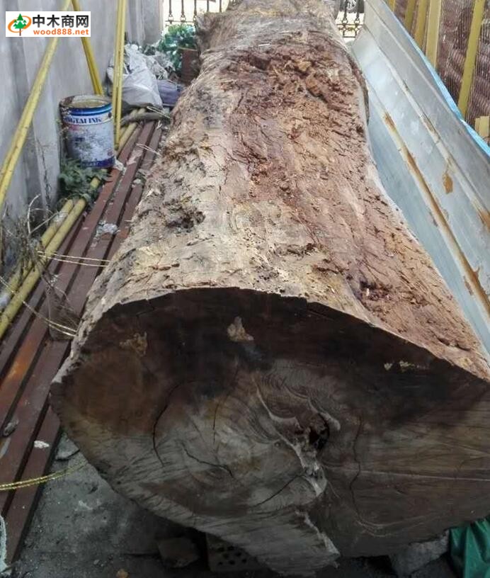 温州男子200元“淘”来的木头，3年后竟然卖了168万元！怎么做到的？