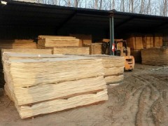 菏泽程远木业长期供应各种杨木面皮