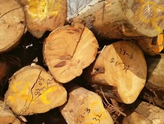 榆林市榆阳区精美木业有限公司--产品图片