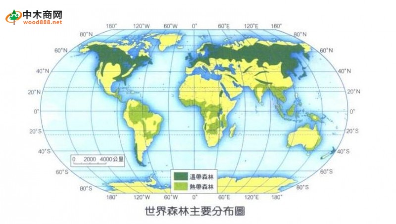 世界各国木材概况