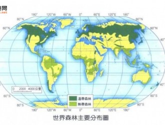 世界各国木材概况