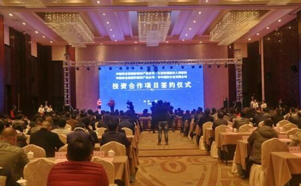华中国际木业与中国林业集团中国林产品公司投资合作项目成功签约