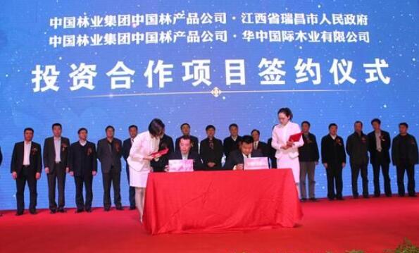 中国林产品公司副总经理沈北灵与华中国际木业有限公司董事长江美文签署了投资合作项目协议