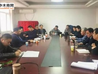 滁州九德木业召开年产30万立方米强化木地板基材项目技术交流会