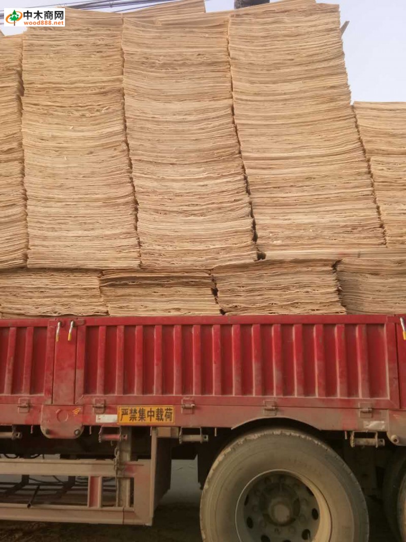 江苏徐州丰县海红木业是一家专业生产杨木三拼木皮的品牌厂家