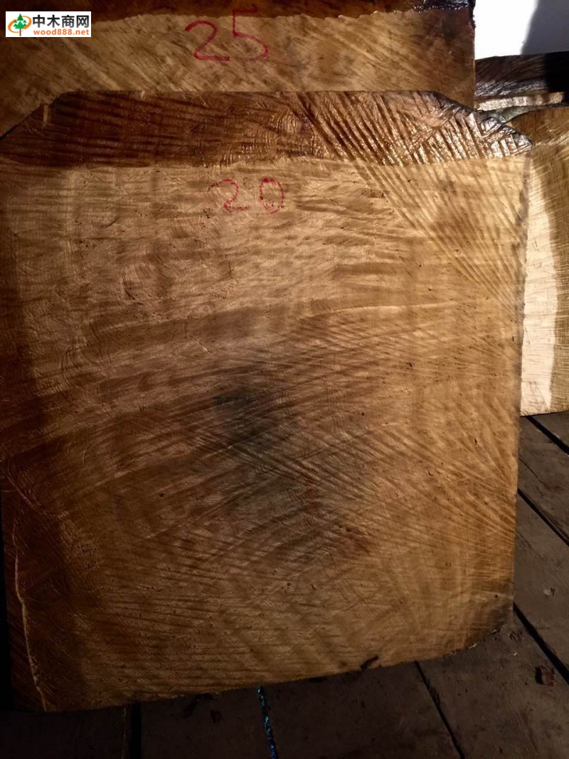 出售缅甸金丝楠木极品木材,可做家具,工艺品
