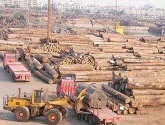 美国木材需求加大，瑞典对美木材出口有望增加