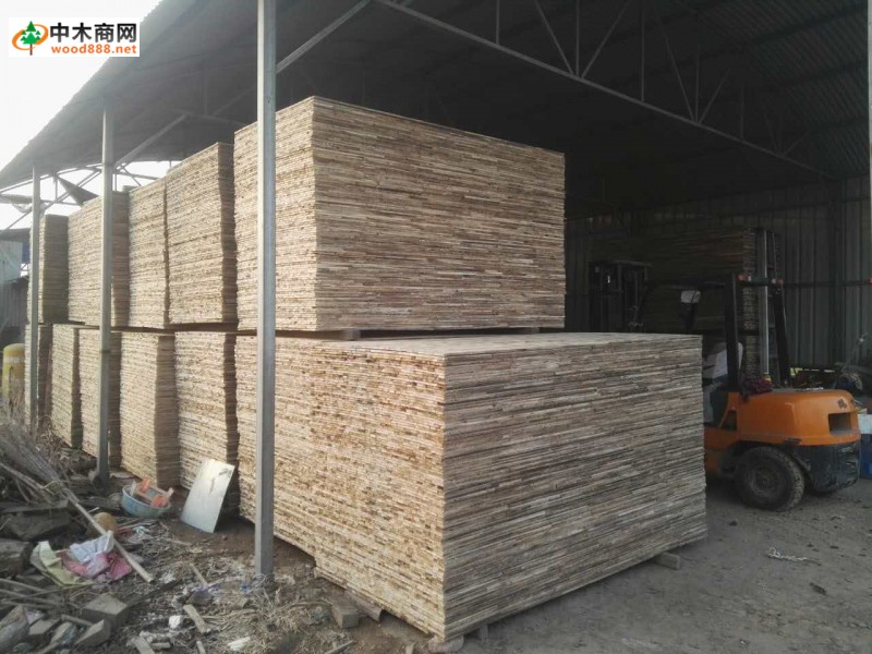 宽124.5厘米桐木生态板芯大量供应
