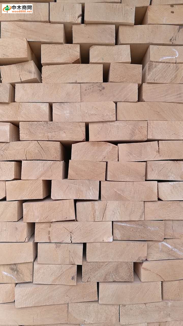 欧洲桦木实木板材