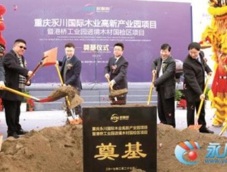 重庆永川国际木业高新产业园项目进境木材国检区项目正式开工