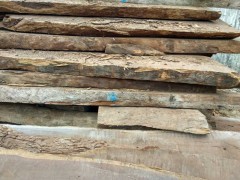 采购：200吨皮灰木材,要求板材图1