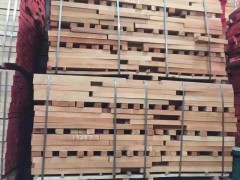 大量供应欧洲榉木、短料木板材