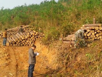 云南西畴县下达2017年木材生产计划