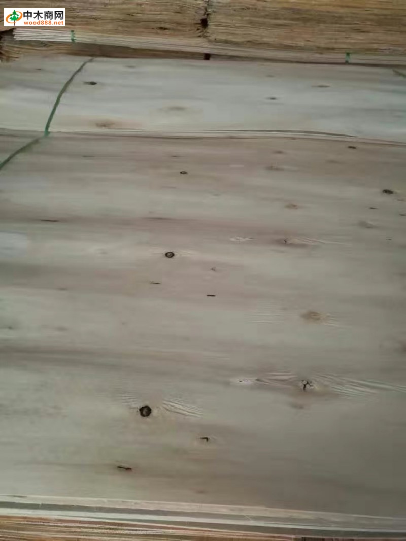 优质桉木单板木皮