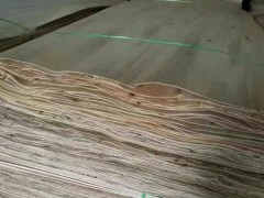 南宁红丰桉木单板木皮供应
