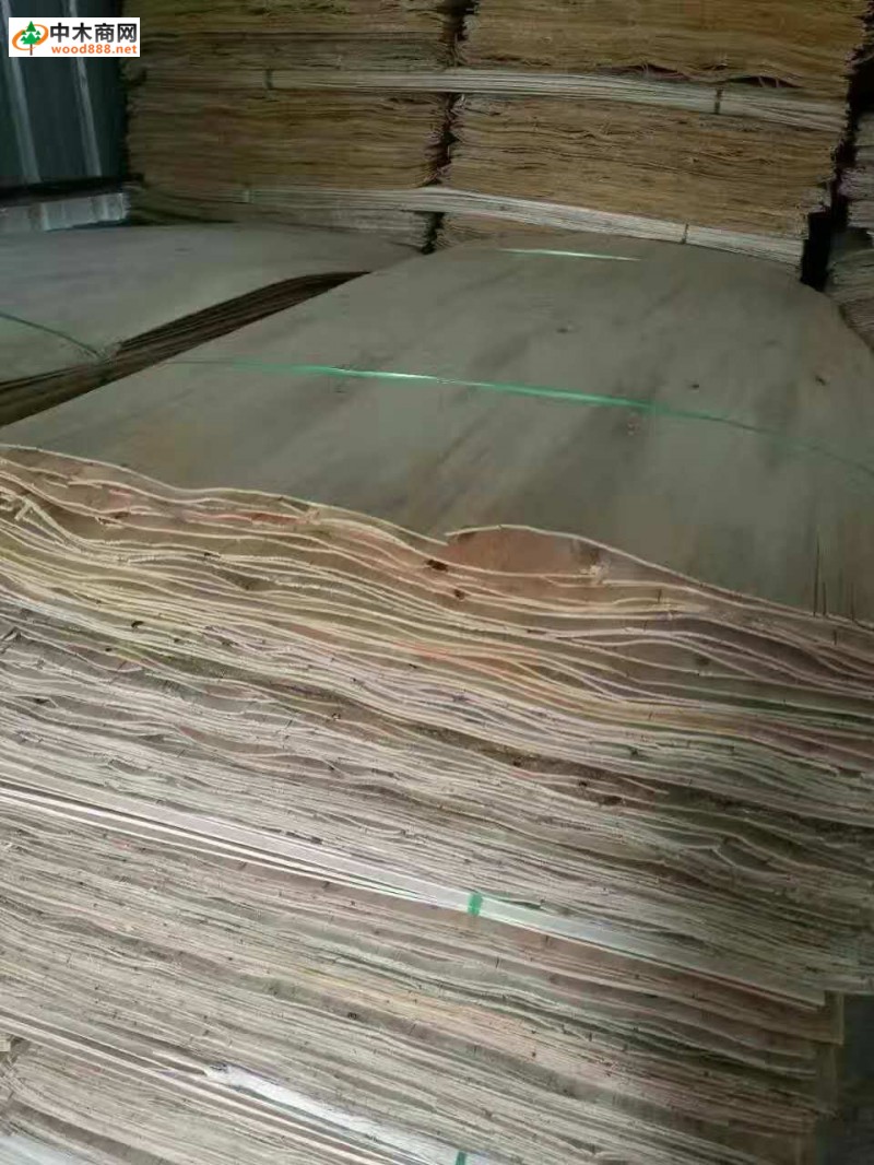 红丰桉木单板木皮