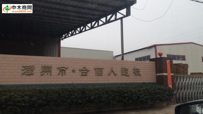 漳州市合信人造板厂专注生产桉树三合板