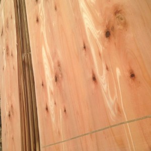 厂家直销桉木、杂木48尺（2.5mX1.28m）芯板木皮