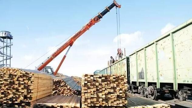 二连浩特口岸：木材进口旺 增运正当时