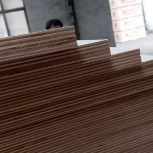 免漆家具板 多层生态板 临沂杨桉基材板厂