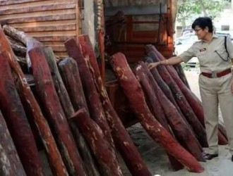 印度泰米尔纳德邦缴获大量走私紫檀原木