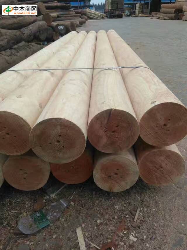 进口铁杉实木板材,建筑木方批发报价