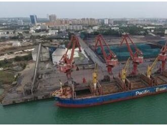 首船木材运抵 海南洋浦港木材加工业拉开序幕