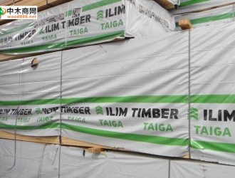 俄罗斯伊利姆集团TAIGA牌木材规格及参数一览表