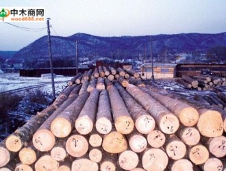 中国木业企业走出去：俄罗斯中资企业巡视之---欧邦德木业集团