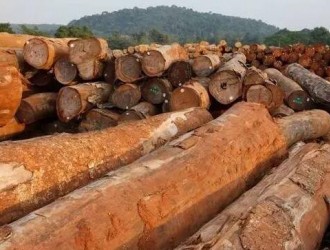 2017中国木制品绿色发展论坛举办