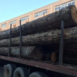 大量铁杉原木可出售加工大方料图3