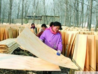梁山县小路口镇立足木业资源优势大力发展板皮加工业
