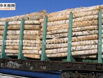 俄罗斯木材3月中旬开始大量进入中国市场