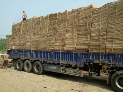 徐州银港木业视频2